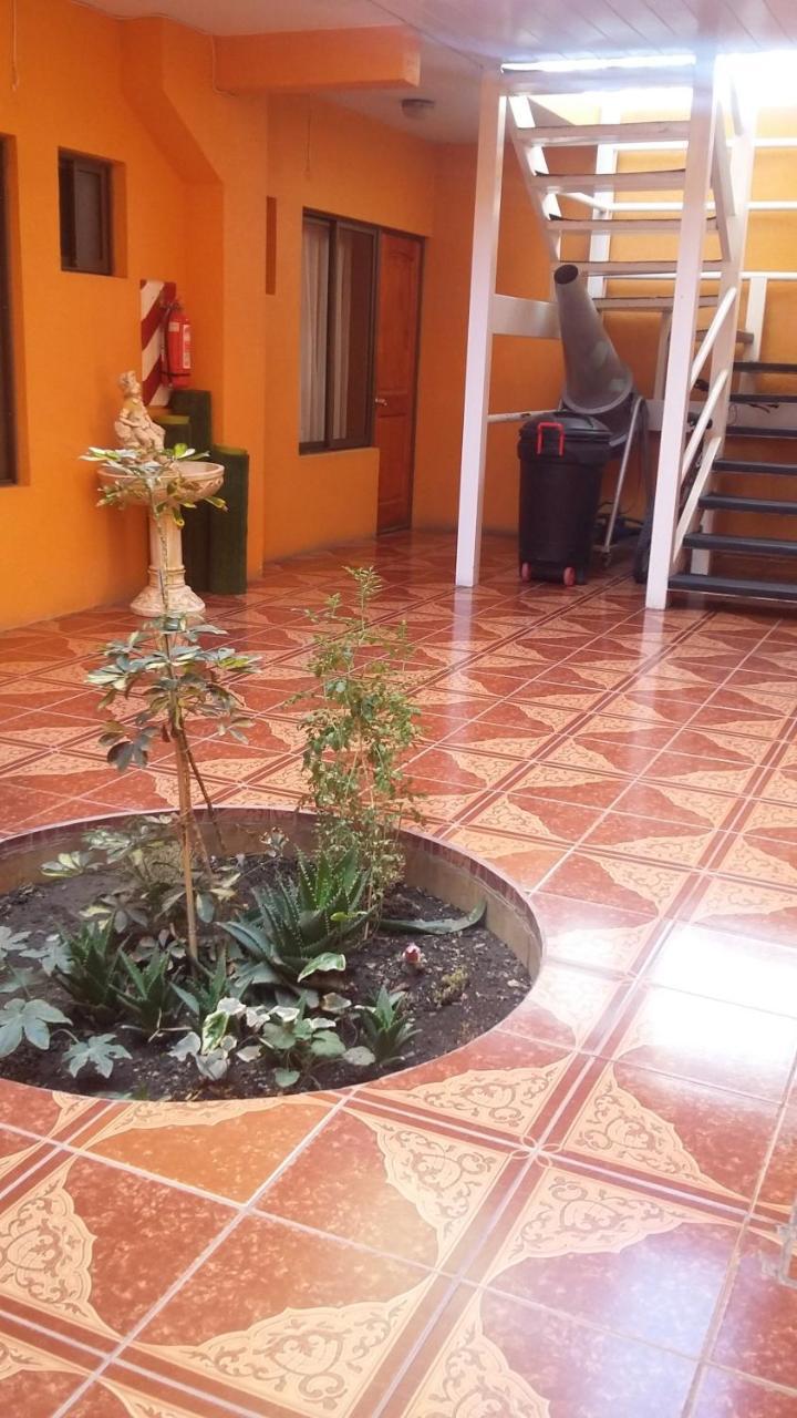 Hotel Don Alfredo Καλάμα Εξωτερικό φωτογραφία